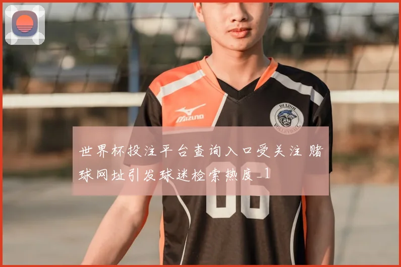 世界杯投注平台查询入口受关注 赌球网址引发球迷检索热度_1