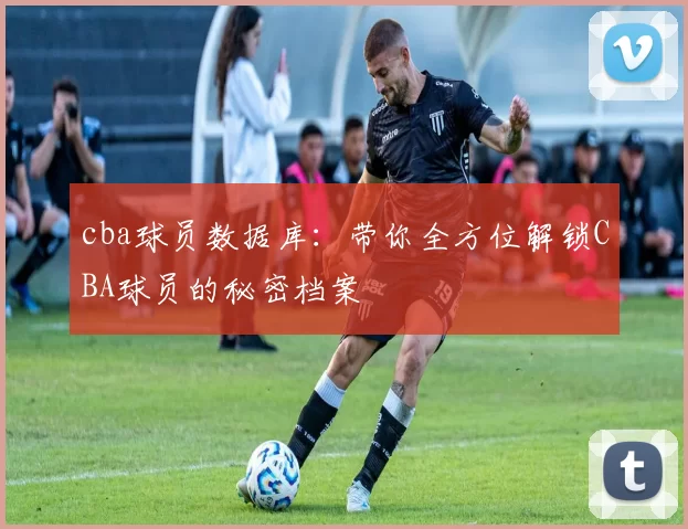 cba球员数据库：带你全方位解锁CBA球员的秘密档案