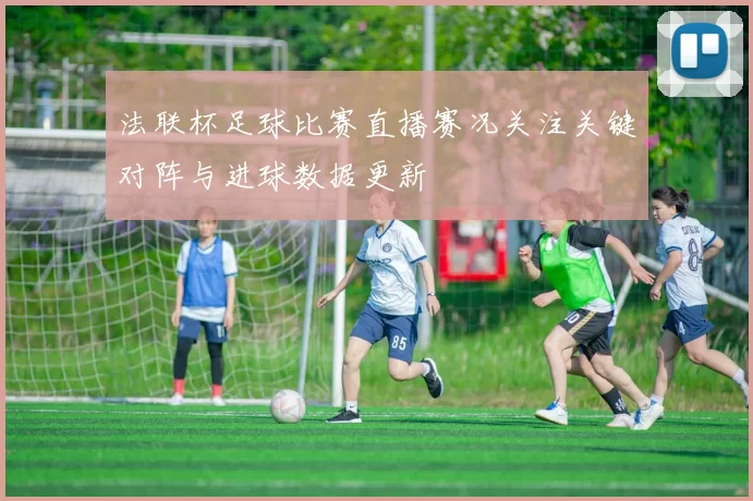 法联杯足球比赛直播赛况关注关键对阵与进球数据更新